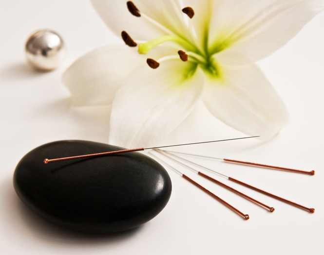 Lily with acupuncture needles and stone