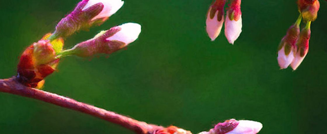 chinese medicine and spring cleaning of liver
